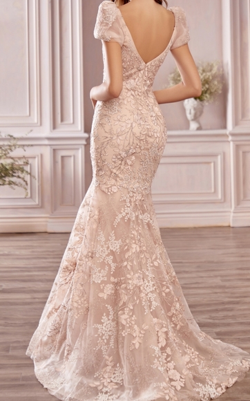 COPY - Wedding dress - Picture 6 of 10